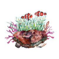 deux Orange pitre poisson près anémone croissance plus de récif Roche avec coraux et algue. main tiré aquarelle illustration sur transparent Contexte. partie de tropical corail récif sous-marin collection. png