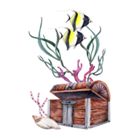dos ídolo peces, algas marinas y púrpura rojo coral cerca abrió tesoro pecho. mano dibujado acuarela ilustración en transparente antecedentes. parte de tropical coral arrecife submarino recopilación. png