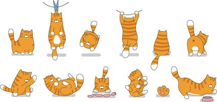 Set cartoon cute cats vector illustration. Cat funny character.