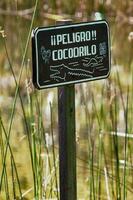 Alligator warning sign photo