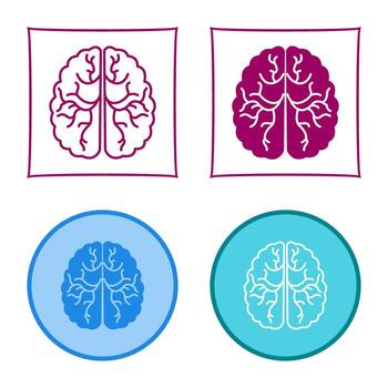 Brain Vector Icon