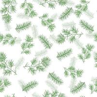 Winter seamless pattern. Christmas tree branches and leaves on white background. Pine needles texture. vector