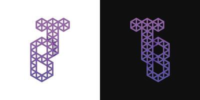 Letter BT and TB Polygon Logo Set vector