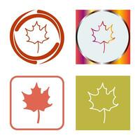 Autumn Leaf Vector Icon