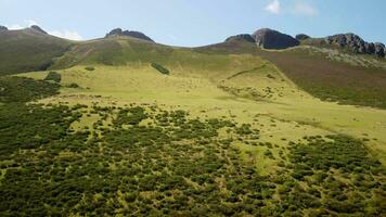 uma deslumbrante panorama com majestoso montanhas e exuberante verde gramíneo Campos video