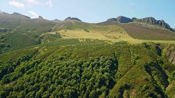 uma tirar o fôlego montanha panorama com exuberante verde árvores video