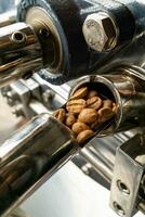 Detailed macro photo of coffee beans in spoon sample of coffee roasting machine. Close up photo of roasted beans on spoon sample of drum roastery machine.