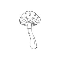 Hand-drawn Fly agaric or amanita mushroom. Non-edible poisonous forest mushroom sketch. Fly-agaric doodle icon.  Vector illustration of fungus in black and white colors.