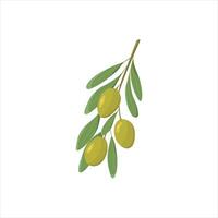 Flat style green olives. Twig with olives with leaves. The concept of vegetables and healthy eating. A branch of olives isolated on a white background. Color illustration and black and white outline. vector