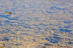 Stones in the lake photo