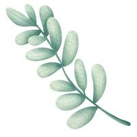 Greenery Leaves Watercolor Hand Drawn. vector