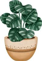 comic potted plant vector illustration