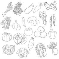 vegetable food line icon vector set