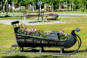 Sleigh with potted flowers photo
