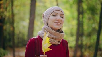 retrato do uma jovem mulher caminhando dentro uma vibrante outono floresta. a atraente mulher vestido dentro uma vermelho suéter e uma chapéu. video