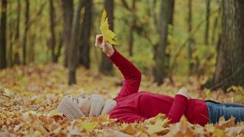 attraente giovane donna bugie su un' tappeto di giallo le foglie nel un autunno foresta. donna nel un' rosso maglione rilassante durante un autunno passeggiare nel il parco. bene umore nel il caldo autunno. video