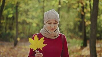 un' giovane donna nel un' rosso maglione e cappello passeggiate con un' zaino nel un' bellissimo autunno foresta. il asciutto e d'oro autunno fornisce luminosa giallo colori e le foglie. video