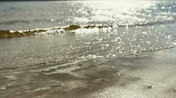 Closeup shot of the edge of a river with clear fresh water and sand. Beautiful natural scene with a river beach. video