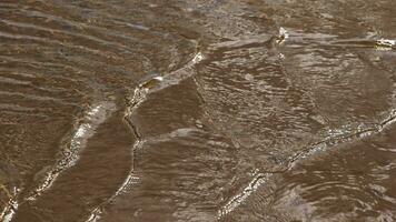 avvicinamento tiro di il bordo di un' fiume con chiaro fresco acqua e sabbia. bellissimo naturale scena con un' fiume spiaggia. video