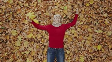 attrayant Jeune femme mensonges sur une tapis de Jaune feuilles dans un l'automne forêt. femme dans une rouge chandail relaxant pendant un l'automne promenade dans le parc. bien ambiance dans le chaud l'automne. video