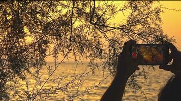 man hand skytte solnedgång se på de strand med hans mobil telefon antal fot. video