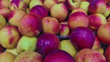 Stapel von Pfirsich Nektarinen auf das Markt Stall Filmaufnahme. video