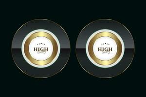 Dark luxury button with frame with gold border decoration on dark background and glitter light effect element vector
