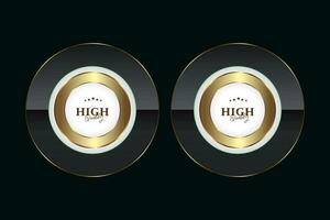 Dark luxury button with frame with gold border decoration on dark background and glitter light effect element vector