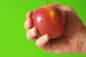 Red apple on green background photo