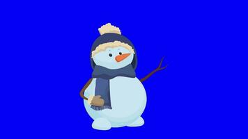 dibujos animados animación - Navidad monigote de nieve - verde pantalla - ea004 conjunto 5 5 de 8 video