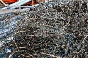 Tangled brown vines photo