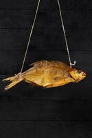 One golden smoked bream hanging on rope on black wooden background photo