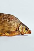 Closeup of head, fins and golden scales of cold-smoked bream on white background photo