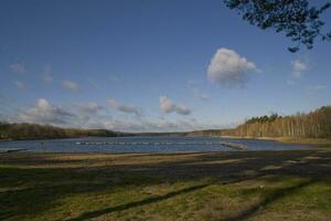 lake summer landscape photo