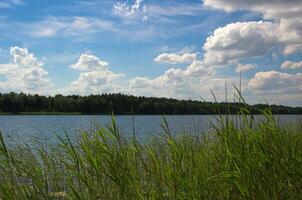 lago verano paisaje foto