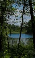 lake summer landscape photo