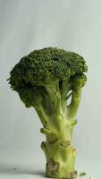 Green vegetables, broccoli with the stem still on, contain fiber and antioxidants which are healthy for the body photo