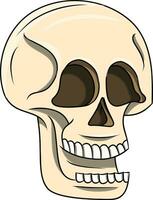 Hand Drawn Funny Human Skull Clipart Isolated vector