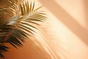 shadows and palm leaf on a peach, orange, beige, pastel wall. background for advertising a luxury product. photo