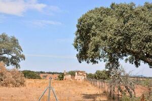 Dry field and farmland photo