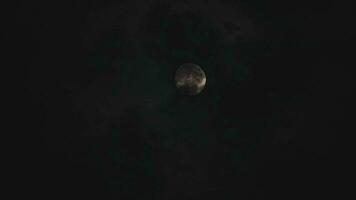 Wolken Vorbeigehen im Vorderseite von ein hell voll Mond auf ein dunkel Nacht Filmaufnahme. video