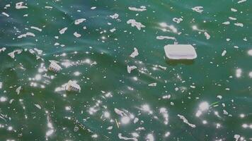 plastic cups en serviesgoed gegooid in blauw zee water verontreiniging video