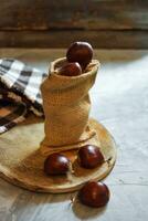 Chestnut on wooden Background photo