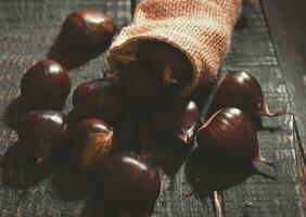 Chestnut on wooden Background photo