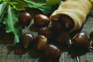 Chestnut on wooden Background photo