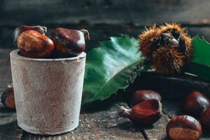 Chestnut on wooden Background photo