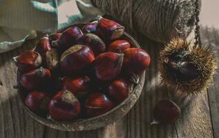 Chestnut on wooden Background photo