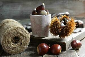 Chestnut on wooden Background photo