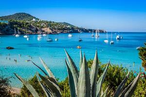 Cala Tarida in Ibiza beach San Jose at Balearic Islands photo