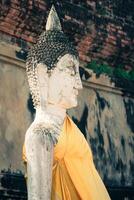 Buddha of statue in Ayutthaya Thailand photo